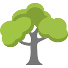 Houston Tree Removal Services